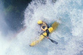 贝尔哈德·福特：用出色表现逐渐巩固在全黑队中的地位，贝尔福特一共有几个妻子