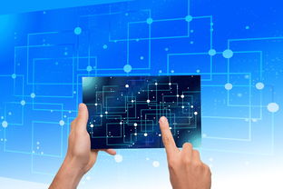 乐鱼体育-中国篮球教练员战术执行力提升路径分析，中国篮球教练员等级划分标准