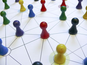 leyu乐鱼官网登录入口-中国篮球教练员战术执行力提升路径分析，中国篮球教练员等级划分标准