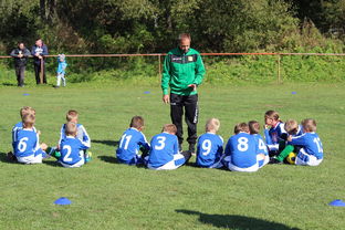 乐鱼娱乐app-中国篮球教练员战术创新能力培养及培训机制研究，全国篮球教练员岗位培训