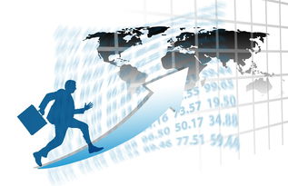 乐鱼（LEYU）体育-中国篮球职业俱乐部财务管理与运营效益分析，篮球俱乐部收入